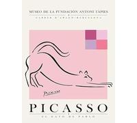 XZSFD NBGEA Pablo Picasso Line Poster Color Prints Abstracto Cuadro de Arte de Pared《Gato Estirando》Pablo Picasso Animal Pintura en Lienzo Para Decoración del Hogar 30x50cm Sin Marco