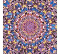 XZSFD NBGEA Póster de Damien Hirst Impresión de visión en color《Círculo mariposa》Cuadro abstracto de pared de Damien Hirst Pintura de lienzo para decoración del hogar 45x45cm sin enmarcar