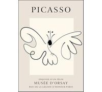 XZSFD NBGEA Póster de Pablo Picasso Cuadro abstracto de arte mural《Una mariposa》por Pablo Picasso Grabados líneas Pintura de lienzo de insectos para decoración del hogar 50x80cm Sin enmarcar