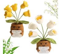 Xzyden Planta de apoyo emocional, 2 flores de punto de 5 flores con tarjeta positiva, ganchillo de apoyo emocional, regalo de apoyo emocional, ganchillo de lirio positivo del valle, flores en maceta