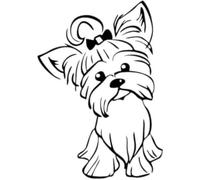 Y Calcomanías 17,3 Cm X 12,2 Cm Pegatinas De Coche Perro Cachorro Perro York Calcomanías De Base De PVC Pegatinas De Coche Ventanas De Perro Divertidas Lindas