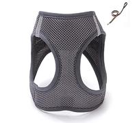 Y Plomo Gris Correa for Perro Gato arnés Ajustable Chaleco for Caminar for Cachorros Perros Collar(S)