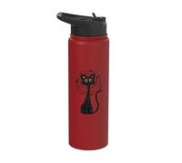 Y2K 90s Confundido Crazy Mad Tomcat Cat under Starry Stainless Steel Insulated Water Bottle