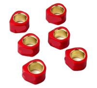 Ya Song 6 contrapesos for Rodillos de variador de Carreras (20 x 15 mm, 8 g, 10 g, 13 g, 15 g y 19 g), compatibles con Malaguti 125, Blog 125, Centro LE 125, F18 Warrior 125cc y 150cc.