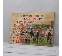 YAASIMOULE La vida es corta, así que vívela. Lienzos decorativos de vaca.