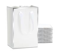 YACEYACE Bolsas de regalo blancas con asas a granel, 20 bolsas de regalo blancas pequeñas, bolsas de regalo pequeñas, bolsas de fiesta, bolsas de boda, marco plateado elegante, 5.25 x 8 x 3.75