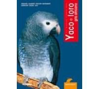 Yaco O Loro Gris Africano