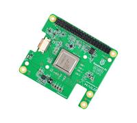 Yahboom Hailo-8L/Hailo-8 AI Acceleration Module,13 TOPS/26 Tops Computing Power,PCIe to M.2 SSD Expansion Board Kit,Compatible with RPi-5 (Hailo-8L 13T AI Hat+ Official Kit)