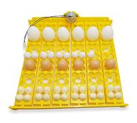 YALIKESI Bandeja de Huevos para incubadora, giratoria, automática, con Motor, para Pollos, Patos y pájaros (220 V)