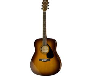 Yamaha F310P TBS Set