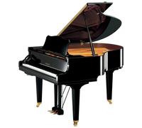 Yamaha GC 1 SH3 PE Silent Grandpiano