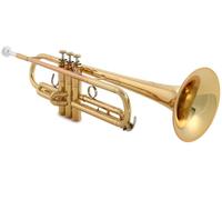Yamaha YTR-8310ZII - Trompeta profesional para bb, laca dorada