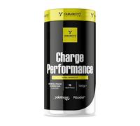 YAMAMOTO NUTRITION Charge Performance Palatinose 700 g, suplemento alimenticio de isomaltulosa, EAA y sales minerales, proporciona un constante apoyo energético, sabor naranja, melocotón y maracuya