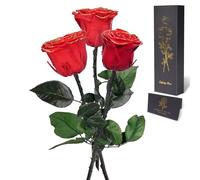 Yamonic Rosa Eterna Regalos para Mujer, Rosa Preservada con Tallo Regalo Madre, Flores Preservadas Regalos Cumpleaños Mujer, Rosa Eterna Natural Preservada Regalo Dia de la Madre San Valentín, 3 Rosas