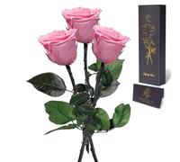 Yamonic Rosa Eterna Regalos para Mujer, Rosa Preservada con Tallo Regalo Madre, Flores Preservadas Regalos Cumpleaños Mujer, Rosa Eterna Natural Preservada Regalo Dia de la Madre San Valentín, 3 Rosas