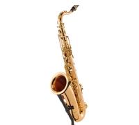 Yanagisawa T-WO2 Tenor Sax