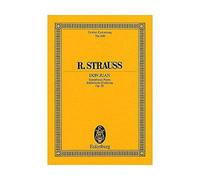 Yanagisawa - Tubería de cuello tenor, latón chapado en oro