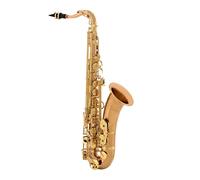 Yanagisawa TWO20 Tenor Saxophone Bronze