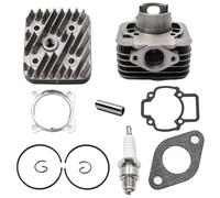 YananAC Kit Cilindro Gruppo termico DR Evolution 70cc D.48 Piggio AC ARIA SP.12 GHISA in ghisa raffreddato ad aria per motori Piggio Gilera 6 travasi con scarico ellittico e testa monopezzo KT00086