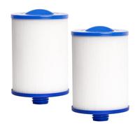 YanBan 2 filtros de bañera de hidromasaje para SPA PWW50 6CH-940, Filtro de Repuesto para Filbur FC-0359, vías fluviales 817-0050, 243 x 150 mm para Elementos de bañera, Piezas de Piscina