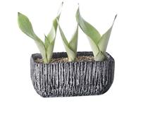 YANG11FAN Escritorios Maceta Negra con líneas de Venas, Orificios Drenaje, macetero Cemento Rectangular for balcón, Sala Estar, Cocina, contenedor Plantas(Medio)