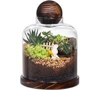 Yangbaga Tarro de cristal con tapa para plantas - Cultiva tu propio terrario de vidrio grande o decoración del ecosistema (plantas no incluidas)