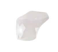 YANGTINGTING Lente luz trasera del coche Para Toyota Para RAV4 2016 2017 2018 2019 Carcasa De Luces Coche Cubierta Lente Luz Trasera(Outside Right)