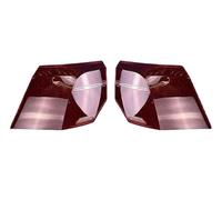 YANGTINGTING Lente luz trasera del coche Para VW Para Golf 8 2021 2022 2023 Tapas De Luz Trasera Para Coche, Cubierta Lámpara, Pantalla, Estuche Para Gafas Cristal(High Outside A Pair)