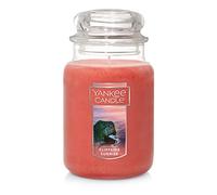 Yankee Candle Cliffside Sunrise Scented, clásico tarro grande de 22 onzas, vela de mecha única, más de 110 horas de tiempo de combustión
