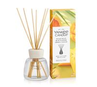 Yankee Candle Difusor de varillas | Fruta estrella y luz del sol | Para espacios pequeños y medianos | Hasta 10 semanas de fragancia