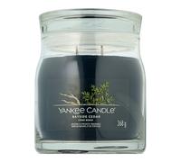 Yankee Candle vela Bayside Cedar Signature mediana 368 g