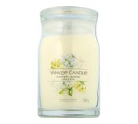 Yankee Candle Signature - Midnight Jasmine 567g