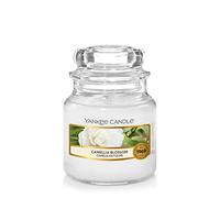Yankee Candle Tarro pequeño | Vela perfumada de Flor de Camelia | hasta 30 Horas de Tiempo de combustión | Colección Garden Hideaway, Cera, Small Jar Candle, 104