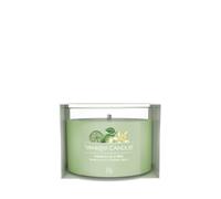 Yankee candle vanilla lime vela alrededor cal, vainilla, azúcar de ca