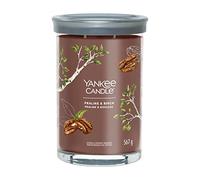 Yankee Candle Vela vaso praliné y abedul Signature - 567,0g