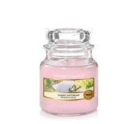 Yankee Candle Vela en tarro pequeño | Vela perfumada Sunny Daydream | Hasta 30 horas de tiempo de combustión | Colección Garden Hideaway