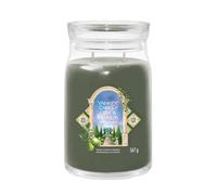 Yankee Candle Vela perfumada en vaso (grande) Olive & Cypress, colección "Hello Italy", con duración de combustión de hasta 90 horas