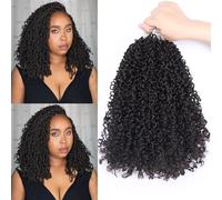 Yanky Twist - Pelo de ganchillo de 12 pulgadas, paquete de 9 paquetes de pequeñas trenzas de ganchillo senegalesas preenlazadas, color negro natural, mini Spring Twist Crochet Crochet Ombre Brown