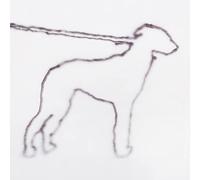 Yano,Jonah - Portrait of a Dog