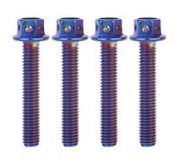 YANRUHFL 4 tornillos de cabeza hexagonal de acero inoxidable M6 x 10 12 15 20 25 30 35 mm para bicicleta y motocicleta (azul quemado, M6 x 35 mm)