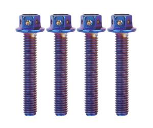 YANRUHFL 4 tornillos de cabeza hexagonal de acero inoxidable M6 x 10 12 15 20 25 30 35 mm para bicicleta y motocicleta (azul quemado, M6 x 35 mm)