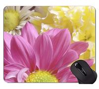 Yanteng Alfombrilla Antideslizante, Taming Bird Alfombrillas de ratón Personalizadas para Juegos rectangulares