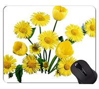 Yanteng Alfombrilla de Goma Antideslizante para Juegos, Alfombrillas de ratón Personalizadas Taming Birds para rectángulos