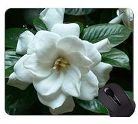 Yanteng Alfombrilla de Goma Antideslizante para Juegos, Alfombrillas de ratón Personalizadas Taming Bird