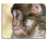 Yanteng Alfombrilla de ratón de Caucho Natural Mono Macaco M0A11017