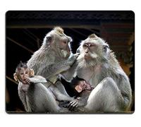 Yanteng Alfombrilla de ratón Juego Alfombrilla de ratón Alfombrilla de ratón de Caucho Natural Familia de Monos en el Bosque Sagrado de Monos Ubud Bali Indonesia M0A00391