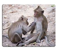 Yanteng Alfombrilla de ratón Juego Alfombrilla de ratón Alfombrilla de ratón de Goma Natural Mono tailandés Sentado para un Amigo Buscando garrapatas M0A00919