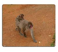 Yanteng Alfombrilla de ratón Juego Alfombrilla de ratón Estera del ratón de Goma Natural Iwatayama Monkey Park Arashiyama Kyoto Conjunto de Material de Goma Natural M0A07339