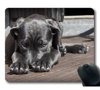 Yanteng Alfombrilla de ratón para Juegos, Alfombrilla de ratón para Mac y Windows Gamer Pet Puppy Puppy The Shy Cute Correa de Caña para Hombres/Mujeres/niños