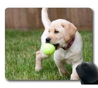 Yanteng Alfombrilla de ratón para Juegos, Perros Mascotas de Cachorros Alfombrillas para ratón, Animales Gatita de Perro Perrito de Golden Retriever Mousepad Rubber YT 009